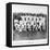 The Australian Cricket Team of 1912-null-Framed Stretched Canvas