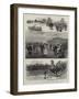 The Australian Derby, the Race for the Melbourne Cup-null-Framed Giclee Print