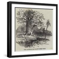 The Australian Gouty-Stem Tree-null-Framed Giclee Print