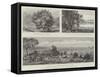 The Australian Irrigation Colonies on the Murray River-null-Framed Stretched Canvas