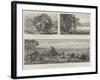 The Australian Irrigation Colonies on the Murray River-null-Framed Giclee Print