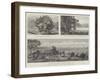 The Australian Irrigation Colonies on the Murray River-null-Framed Giclee Print