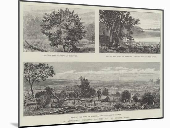 The Australian Irrigation Colonies on the Murray River-null-Mounted Giclee Print