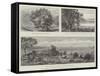The Australian Irrigation Colonies on the Murray River-null-Framed Stretched Canvas