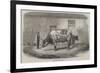 The Australian Ox Tooran-Thomas Harrington Wilson-Framed Giclee Print
