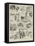 The Autobiography of a Chicken-William Ralston-Framed Stretched Canvas