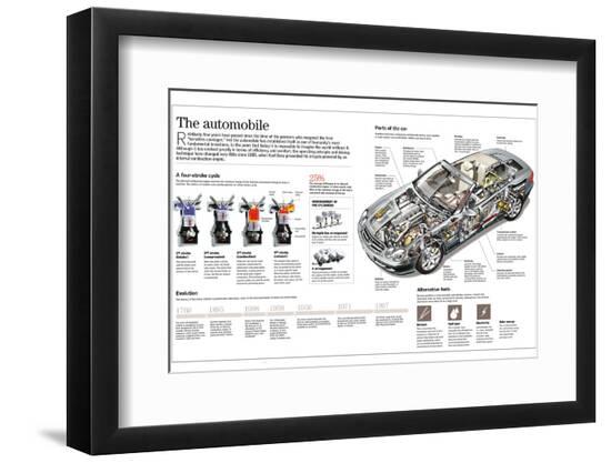 Premium Photographic Print, , large