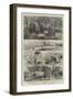 The Autumn Campaign, Sketches in the Southern Camp-null-Framed Giclee Print