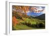 The Autumn Colors of a Tree Overlooking Val Di Funes and St. Magdalena Village-Roberto Moiola-Framed Photographic Print