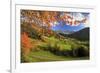 The Autumn Colors of a Tree Overlooking Val Di Funes and St. Magdalena Village-Roberto Moiola-Framed Photographic Print