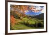 The Autumn Colors of a Tree Overlooking Val Di Funes and St. Magdalena Village-Roberto Moiola-Framed Photographic Print