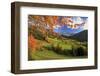 The Autumn Colors of a Tree Overlooking Val Di Funes and St. Magdalena Village-Roberto Moiola-Framed Photographic Print