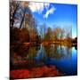 The Autumn in Winter-Philippe Sainte-Laudy-Mounted Photographic Print