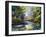 The Autumn Landscape Executed By Oil On A Canvas-balaikin2009-Framed Art Print