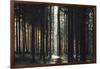 The autumnal Teutoburg Forest with sunlight.-Nadja Jacke-Framed Photographic Print