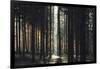 The autumnal Teutoburg Forest with sunlight.-Nadja Jacke-Framed Photographic Print