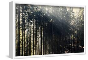 The autumnal Teutoburg Forest with sunlight.-Nadja Jacke-Framed Photographic Print