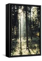 The autumnal Teutoburg Forest with sunlight.-Nadja Jacke-Framed Stretched Canvas