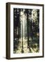 The autumnal Teutoburg Forest with sunlight.-Nadja Jacke-Framed Photographic Print