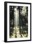 The autumnal Teutoburg Forest with sunlight.-Nadja Jacke-Framed Photographic Print