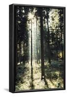 The autumnal Teutoburg Forest with sunlight.-Nadja Jacke-Framed Photographic Print