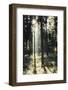 The autumnal Teutoburg Forest with sunlight.-Nadja Jacke-Framed Photographic Print