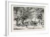 The Avenue at Shoobra, Egypt, 1879-null-Framed Giclee Print