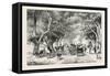 The Avenue at Shoobra, Egypt, 1879-null-Framed Stretched Canvas