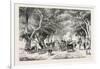 The Avenue at Shoobra, Egypt, 1879-null-Framed Giclee Print