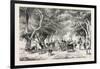 The Avenue at Shoobra, Egypt, 1879-null-Framed Giclee Print