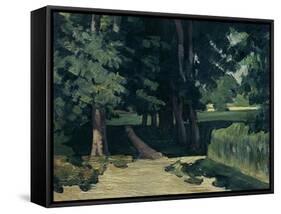 The Avenue at the Jas De Bouffan-Paul Cézanne-Framed Stretched Canvas