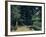 The Avenue at the Jas De Bouffan-Paul Cézanne-Framed Giclee Print