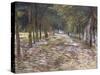 The Avenue at the Park of Voyer-D'Argenson at Asnieres, 1887-Vincent van Gogh-Stretched Canvas