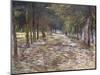 The Avenue at the Park of Voyer-D'Argenson at Asnieres, 1887-Vincent van Gogh-Mounted Premium Giclee Print