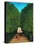 The Avenue in the Park at Saint Cloud, 1907/08-Henri Rousseau-Stretched Canvas