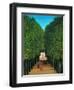 The Avenue in the Park at Saint Cloud, 1907/08-Henri Rousseau-Framed Giclee Print