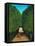 The Avenue in the Park at Saint Cloud-Henri Rousseau-Framed Stretched Canvas