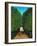 The Avenue in the Park at Saint Cloud-Henri Rousseau-Framed Giclee Print