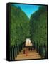 The Avenue in the Park at Saint Cloud-Henri Rousseau-Framed Stretched Canvas