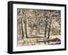 The Avenue of Plane Trees in Battaglia Terme-null-Framed Giclee Print