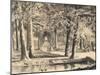 The Avenue of Plane Trees in Battaglia Terme-null-Mounted Giclee Print