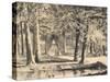 The Avenue of Plane Trees in Battaglia Terme-null-Stretched Canvas