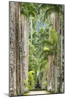 The Avenue of Royal Palms, Rio De Janeiro Botanical Garden.-Jon Hicks-Mounted Photographic Print