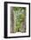 The Avenue of Royal Palms, Rio De Janeiro Botanical Garden.-Jon Hicks-Framed Photographic Print