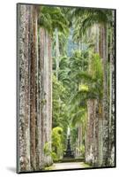 The Avenue of Royal Palms, Rio De Janeiro Botanical Garden.-Jon Hicks-Mounted Photographic Print