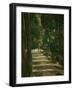 The Avenue (Park of Chantilly), circa 1879-Paul Cézanne-Framed Giclee Print