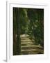 The Avenue (Park of Chantilly), circa 1879-Paul Cézanne-Framed Giclee Print