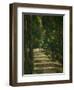 The Avenue (Park of Chantilly), circa 1879-Paul Cézanne-Framed Giclee Print