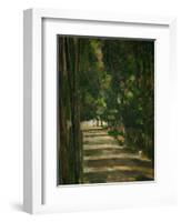 The Avenue (Park of Chantilly), circa 1879-Paul Cézanne-Framed Giclee Print