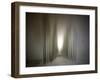 The Avenue-Josh Adamski-Framed Photographic Print